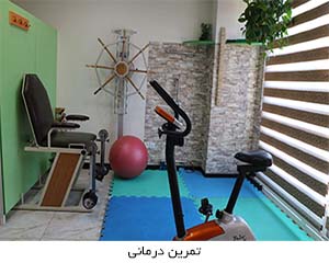 Exercise Therapy-pasclinic.ir