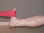 Ankle torsion13-pasclinic.ir